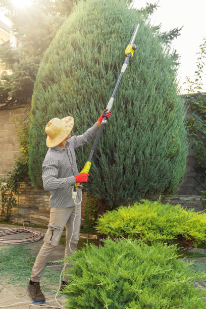  Arlington Heights, PA Tree Removal and Landscaping Services Pros